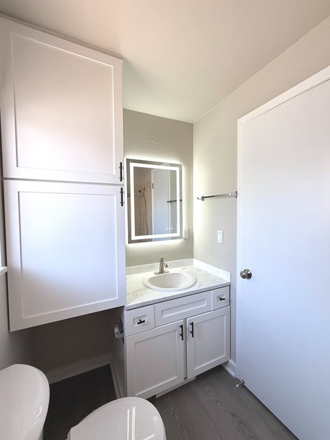 A bathroom with a white toilet and sink.