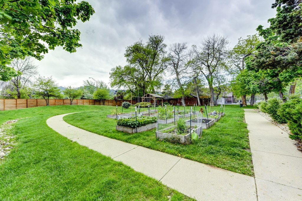 A garden with a curved concrete pathway and raised beds of plants.