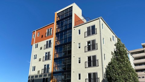 a tall building with a tree in front of it