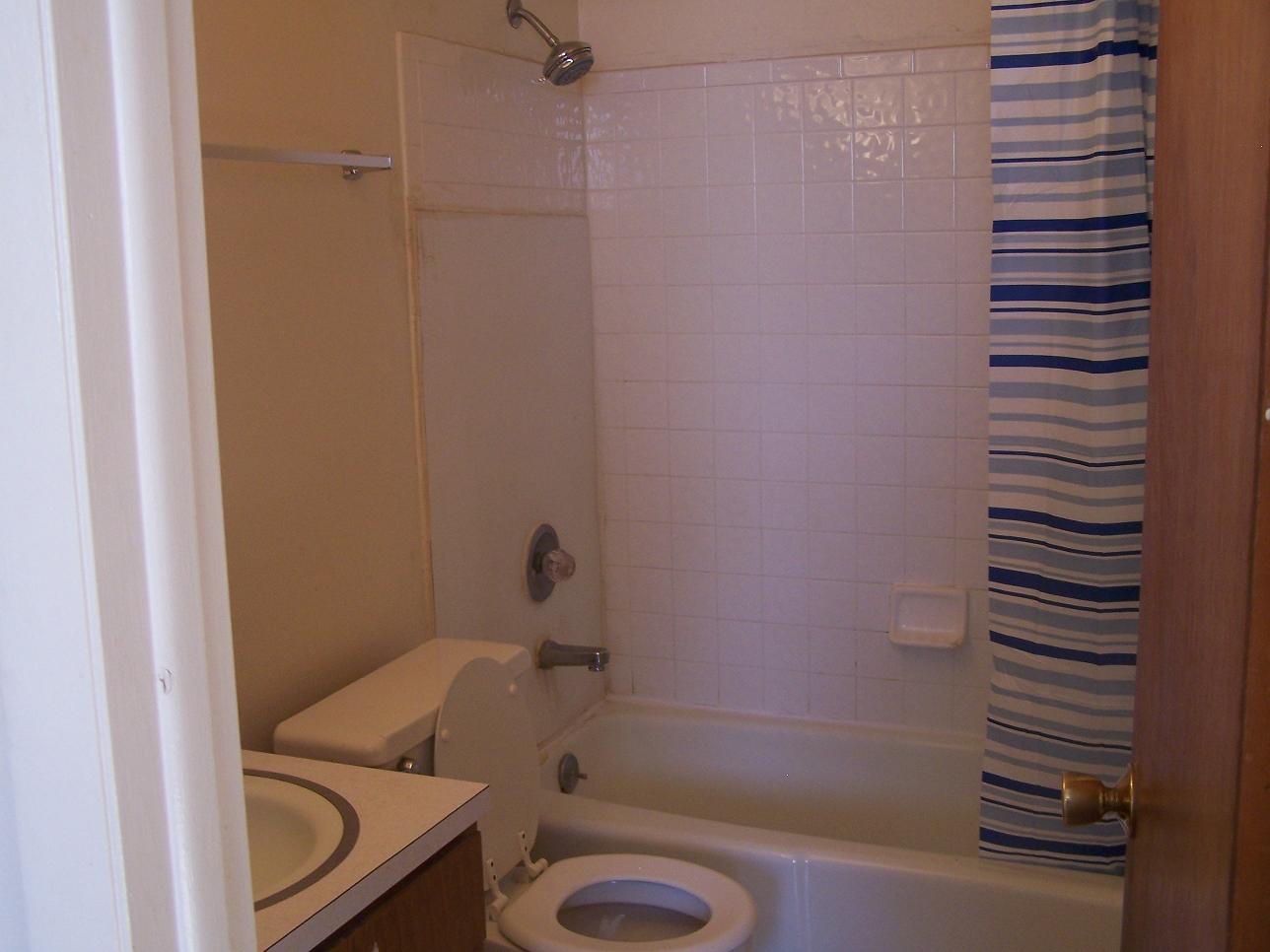 A white toilet sits next to a bathtub in a bathroom.