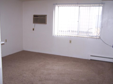 A room with a window and carpet on the floor.