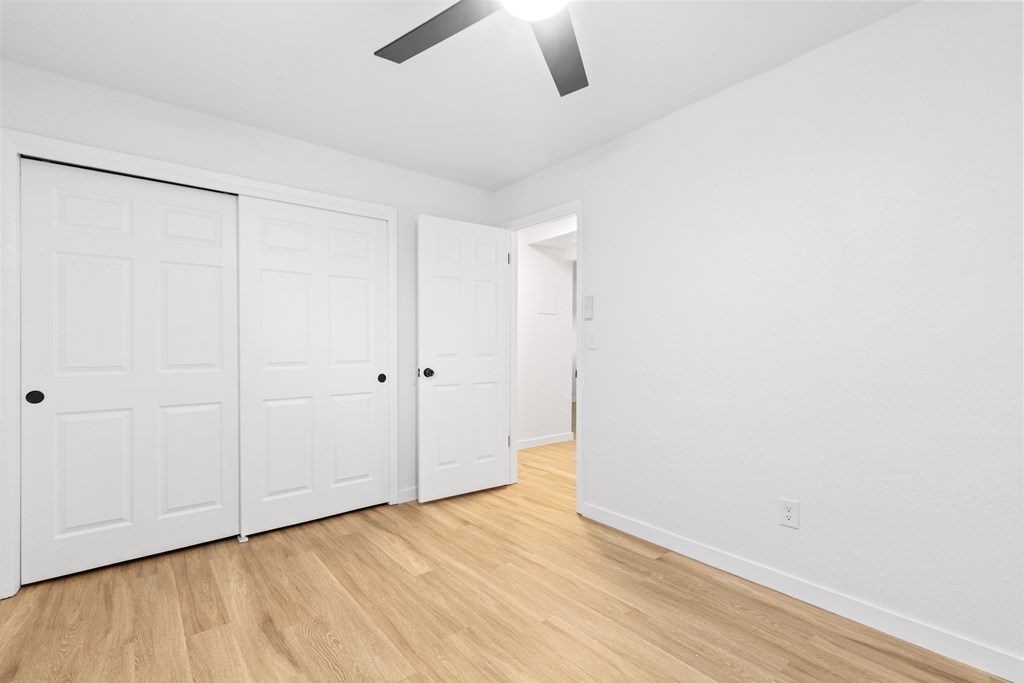 A room with white walls and wooden flooring with three white doors.