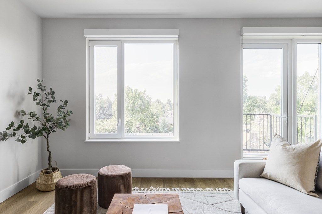 A living room with a white couch, a potted plant, and two windows.