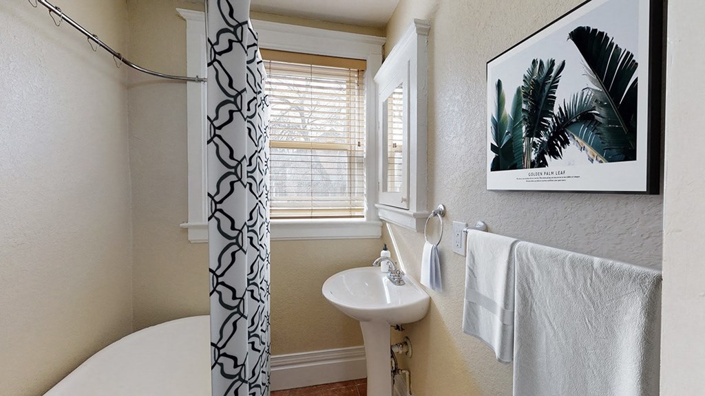 a bathroom with a sink and a shower curtain and a window