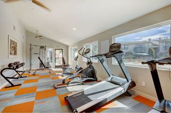 A spacious home gym with treadmills and exercise equipment.