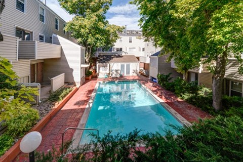 1111 Maxwell #101 Pool Area 1111 Maxwell #101 Pool Area