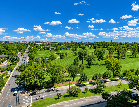 A view of a green field with trees and a road with cars.
