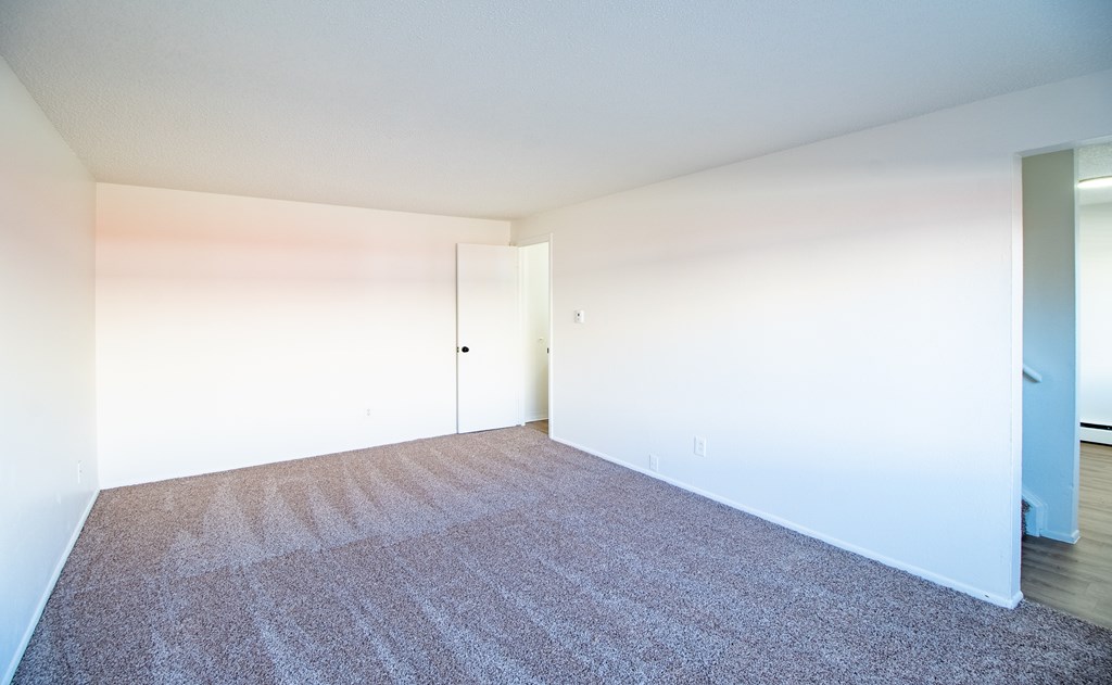A room with a carpet and a door.