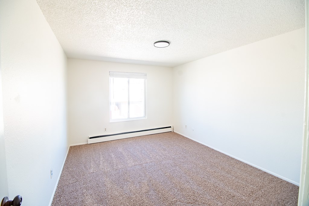 A room with a window and carpeted floor.