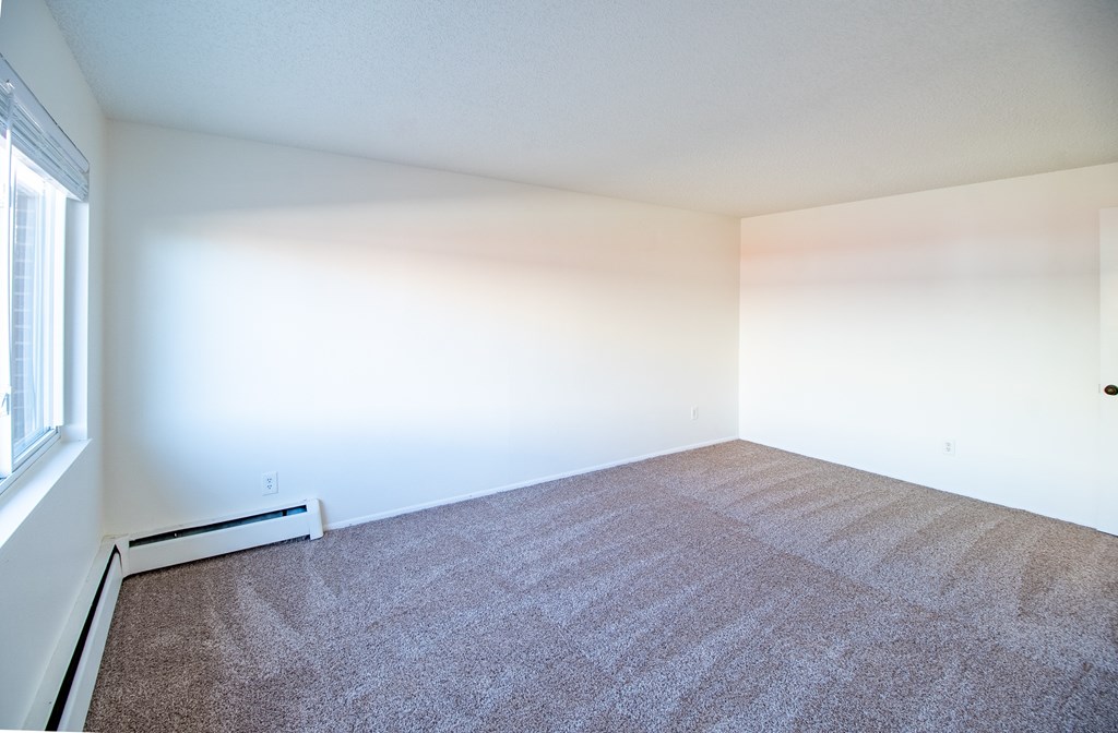 A carpeted room with a window on the left side.