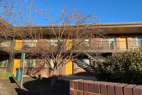 A tree in front of a building with yellow doors.