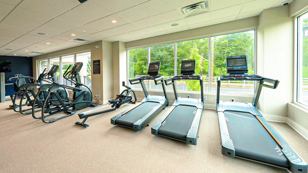 the gym is equipped with a variety of cardio equipment