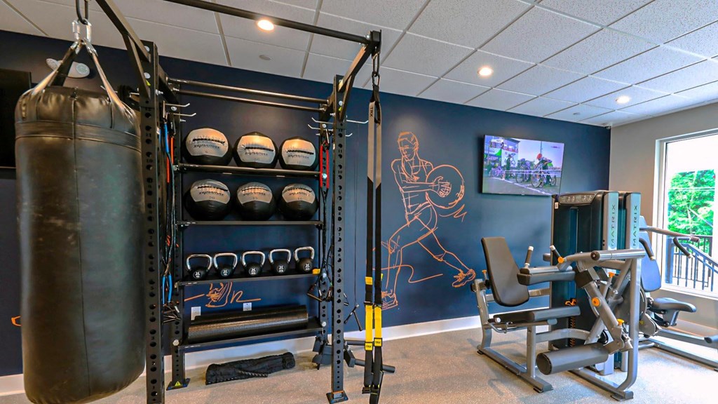 a gym with a punching bag and weights on the wall