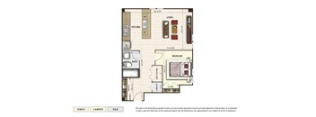The Apex 2 apartment floor plan with 1 bedroom and 1 bath