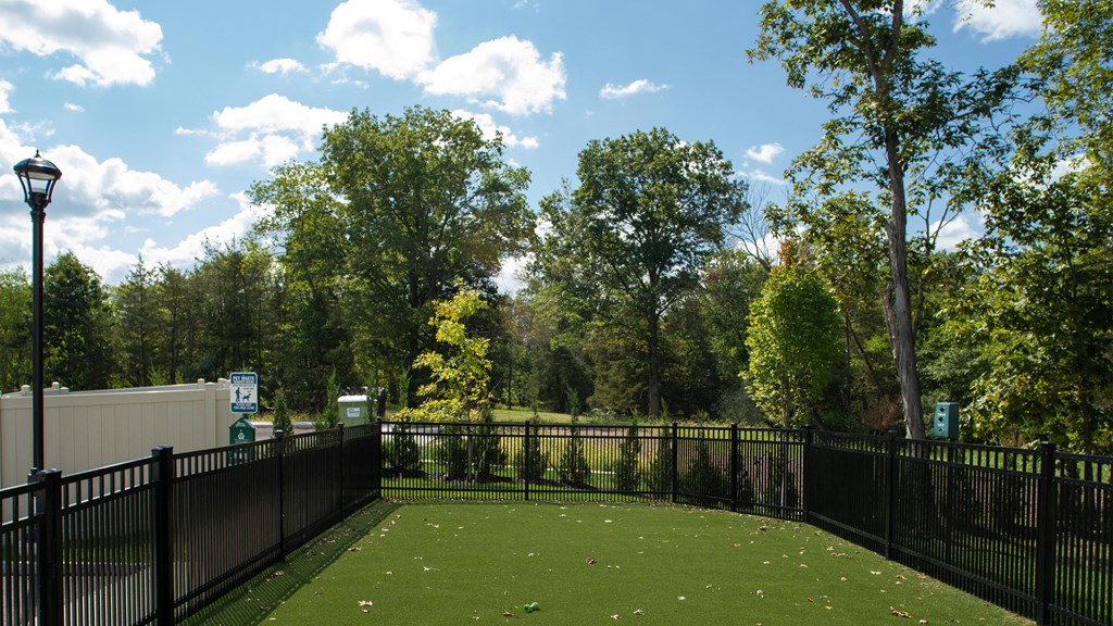 a fenced in backyard with a lawn and trees