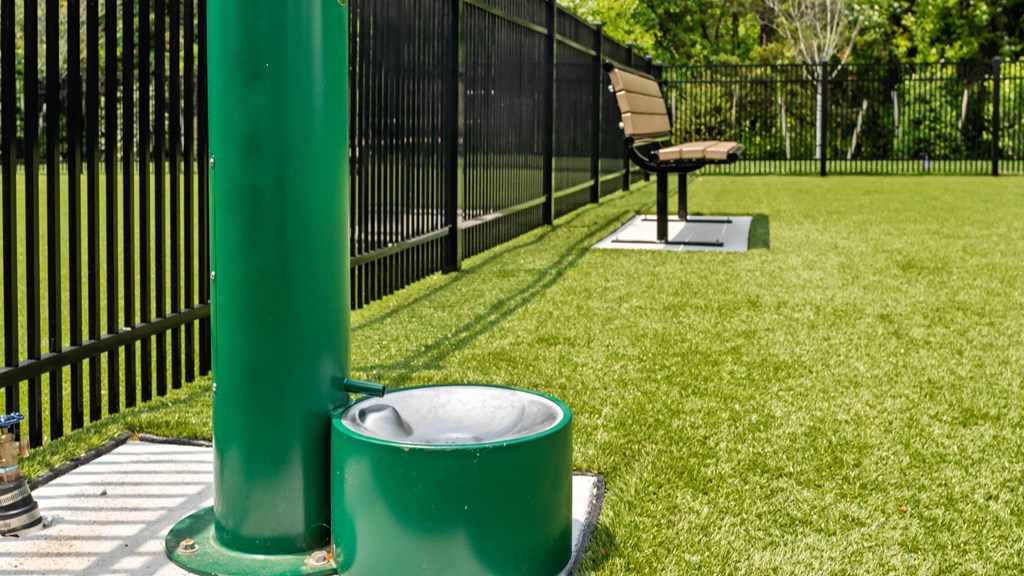a bucket of water on a lawn next to a green pole