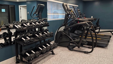 A gym with a row of dumbbells and a row of treadmills.
