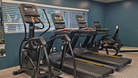 A row of treadmills are lined up in a gym.