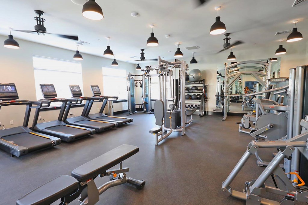 a gym with cardio equipment and weights