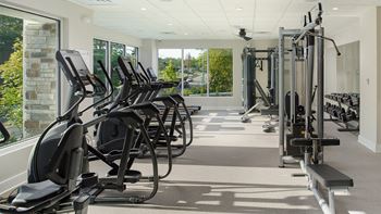 Fitness Center with Cardio Equipment, Fixed Weight Machines, Free Weights and Stretching Mats