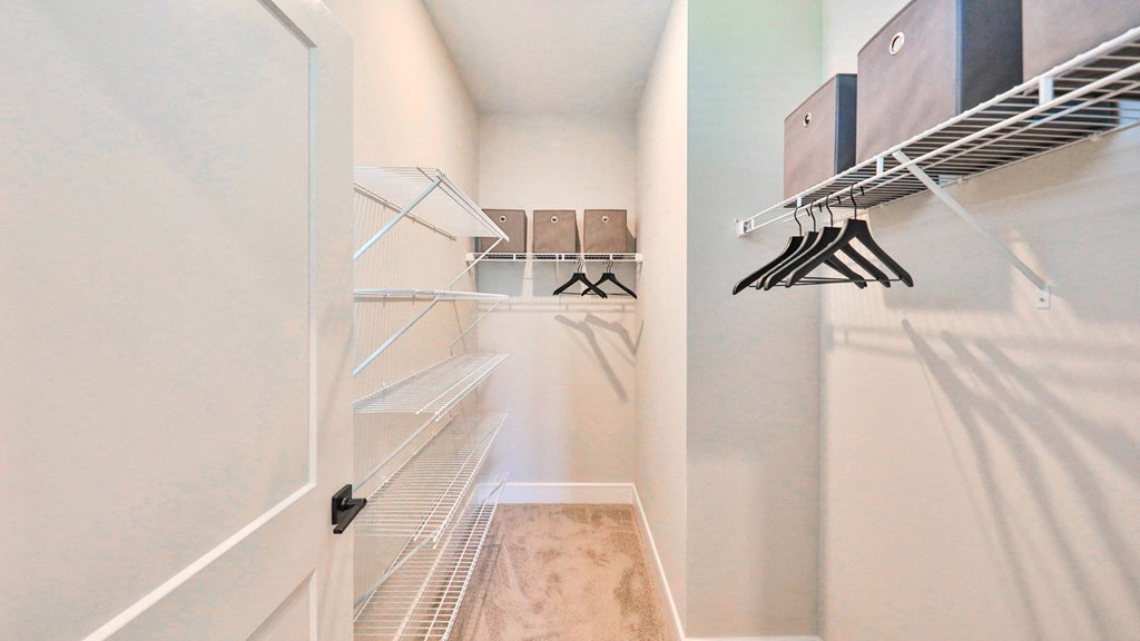 a spacious closet with white walls and shelves and a closet door open to a hallway