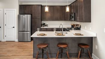 Solid Wood Shaker Style Cabinets in Kitchen