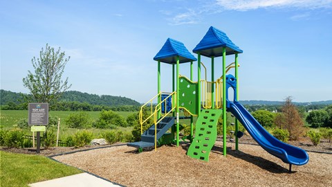 A playground with a green slide and a blue roof.