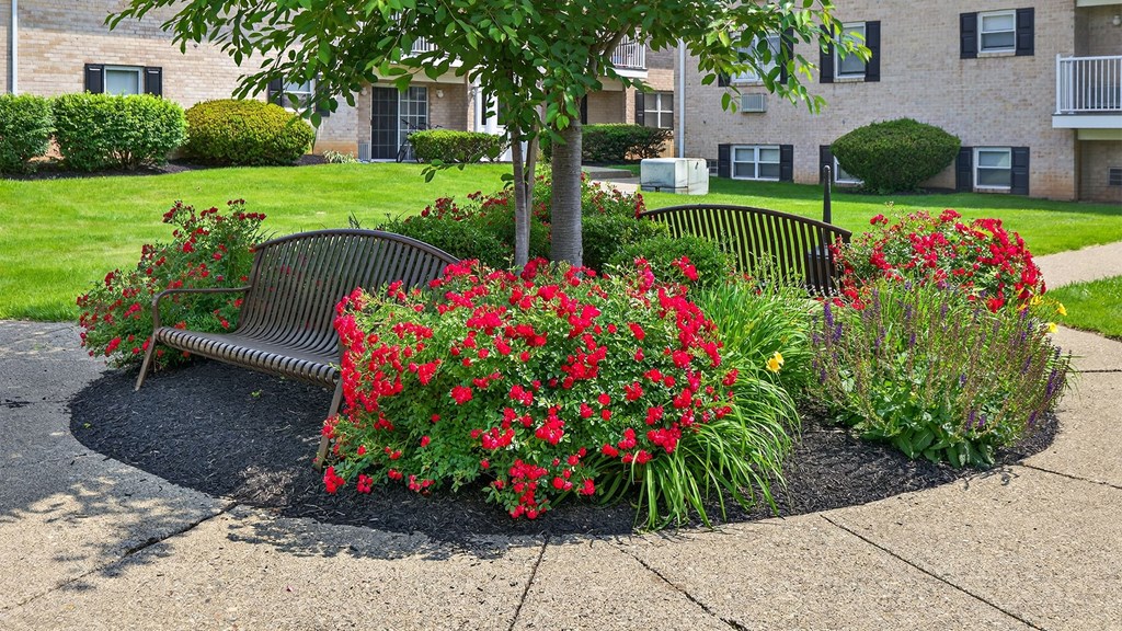 A black bench with red flowers in front of a building.