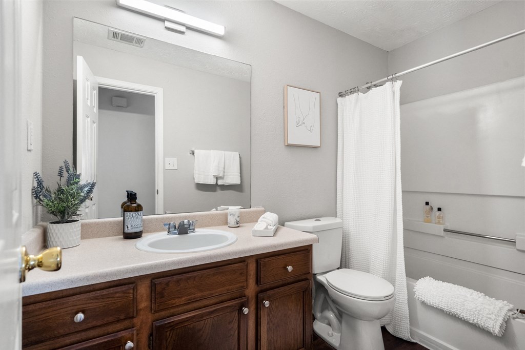 the preserve at ballantyne commons apartment bathroom with sink toilet and shower