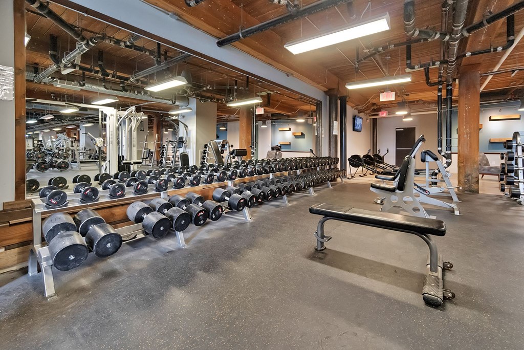 the weights room at the preserve at great pond apartments in great pond wi