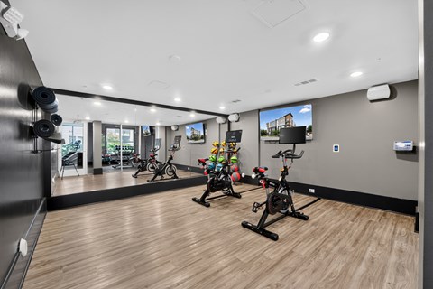 1305 Central Avenue Studio-2 Beds Apartment for Rent