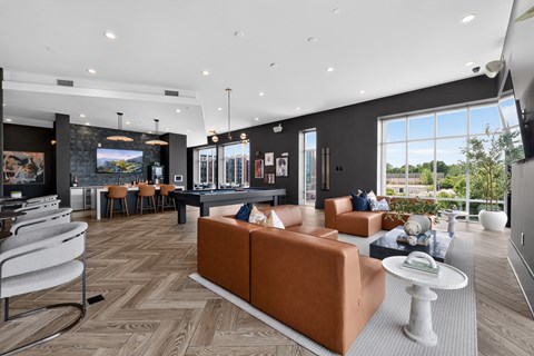 A modern living room with a brown sofa and a grey rug.
