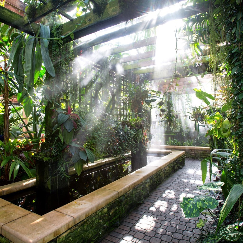 Botanical Gardens Atlanta GA