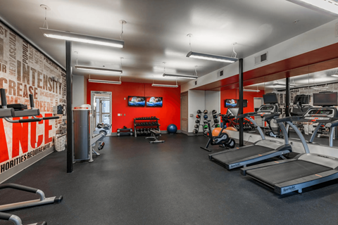 A gym with treadmills, weights, and exercise equipment.