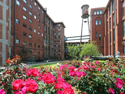 a garden and water tower in the middle of some buildings