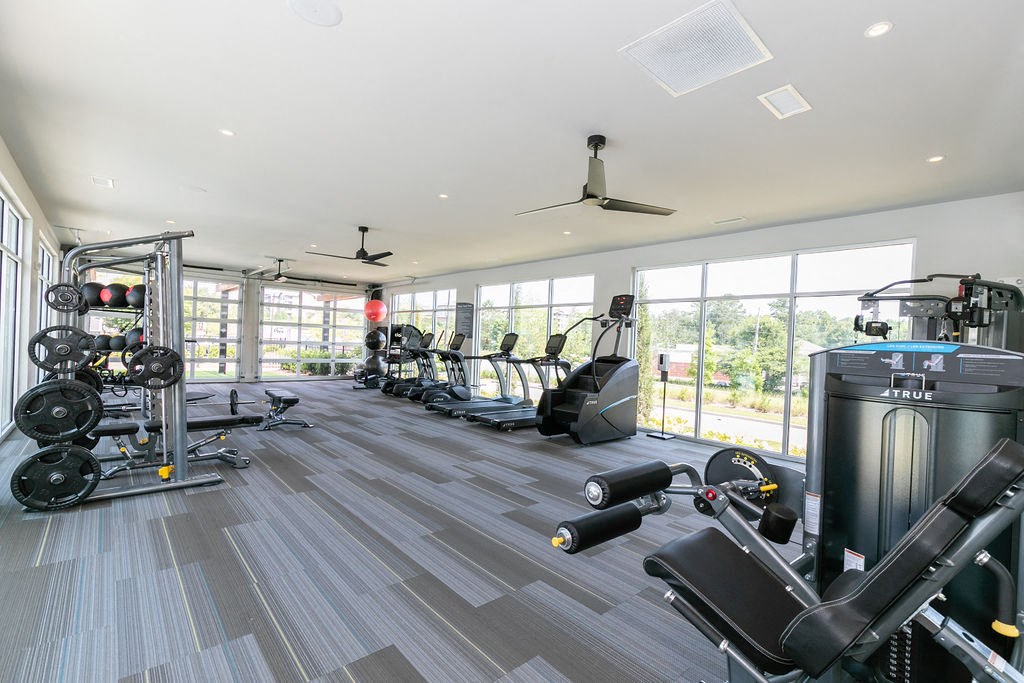 the gym has plenty of weights and cardio equipment and floor to ceiling windows