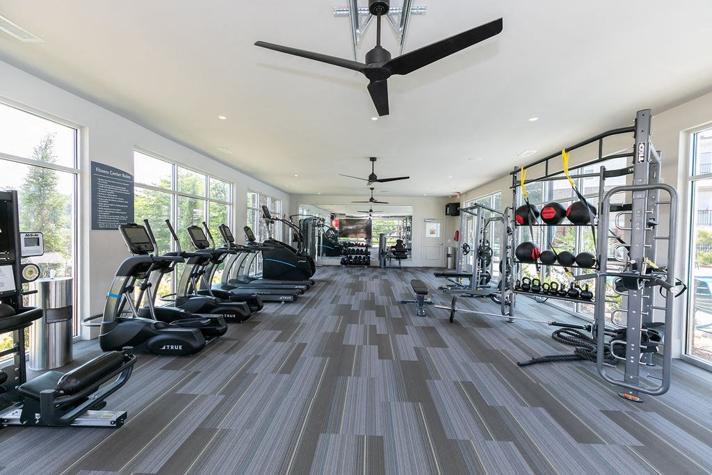 the gym is equipped with a variety of weights and cardio equipment
