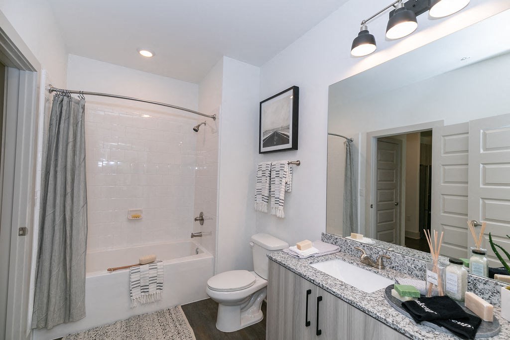 a bathroom with a shower toilet and sink and a mirror