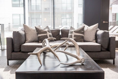 a living room with a couch and a table with antlers on it