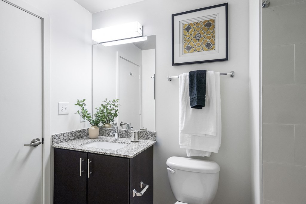 a bathroom with a toilet and a sink and a mirror