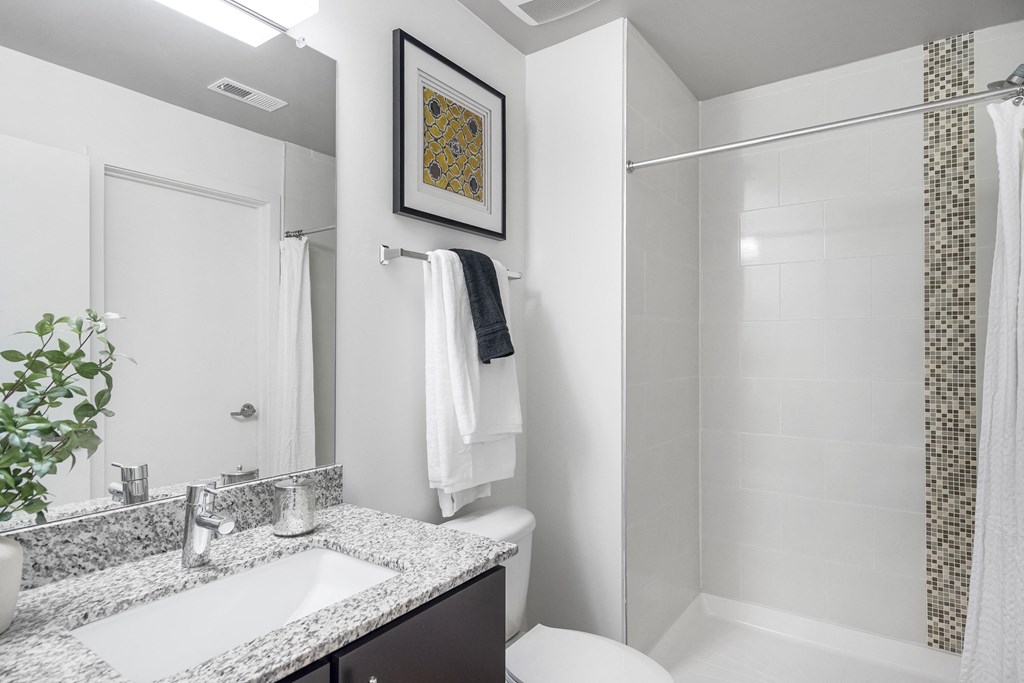 a bathroom with a sink and a toilet and a shower