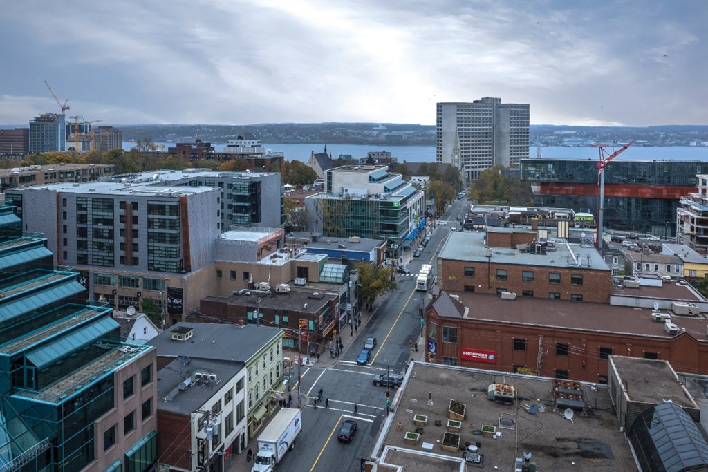 a view of the city from the roof of a building