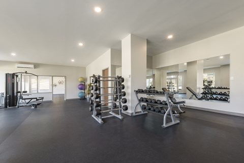 A spacious gym with a variety of equipment including weights and a bench press.