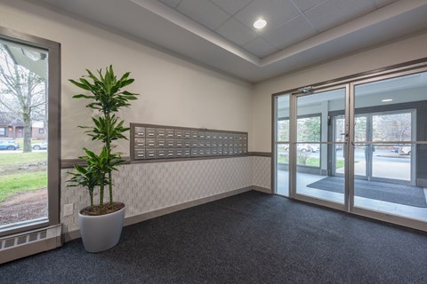 A room with a plant in a white pot and a wall with a panel of switches.