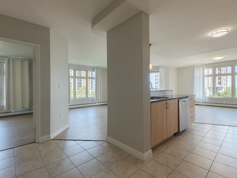 A kitchen with a dishwasher and a refrigerator.