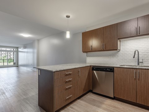 A kitchen with wooden cabinets and a stainless steel dishwasher.