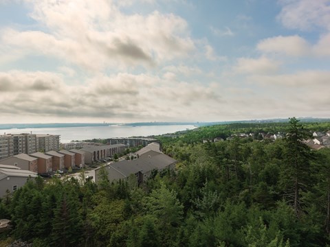 A view of a residential area with trees and buildings.