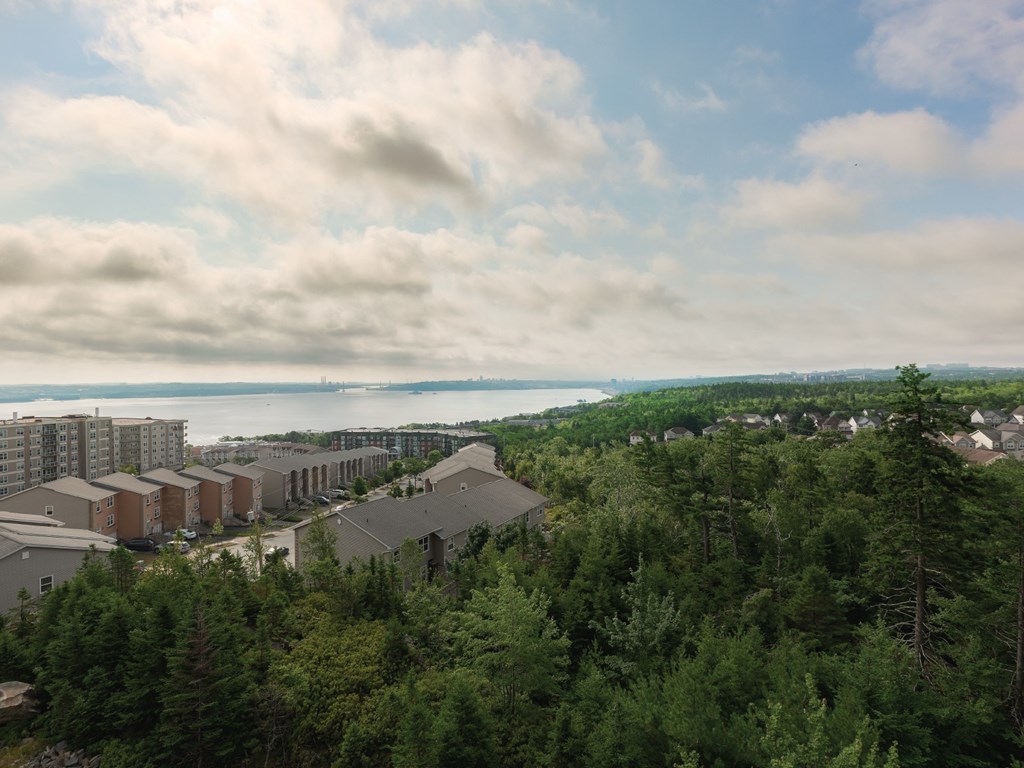 A view of a residential area with trees and buildings.