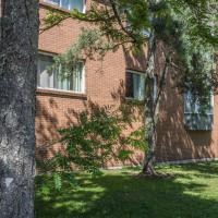 a brick building with a tree in front of it