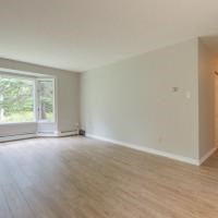an empty living room with a wood floor and a window